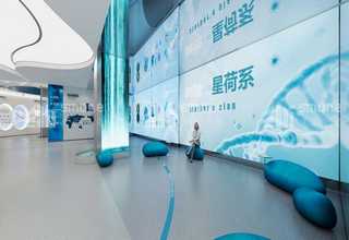 浙江建材厂脉冲除尘器价格