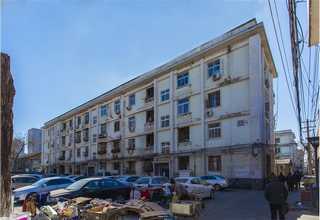 重庆哪里买五月脆李子苗多少钱一颗